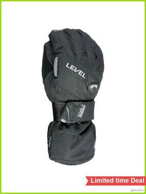 Level Half Pipe GTX Snowboard Gloves GoreTex Shell BioMex Wrist Guards